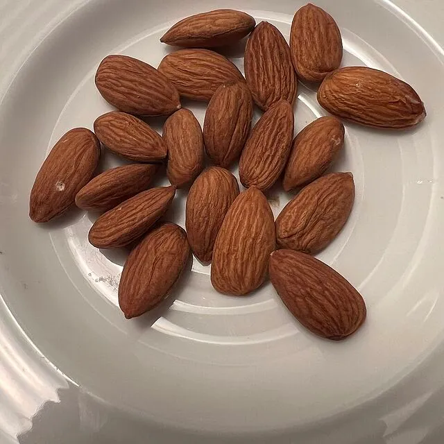 بادام درختی